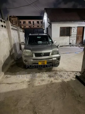Nissan X-Trail 2.0 2007 Silver