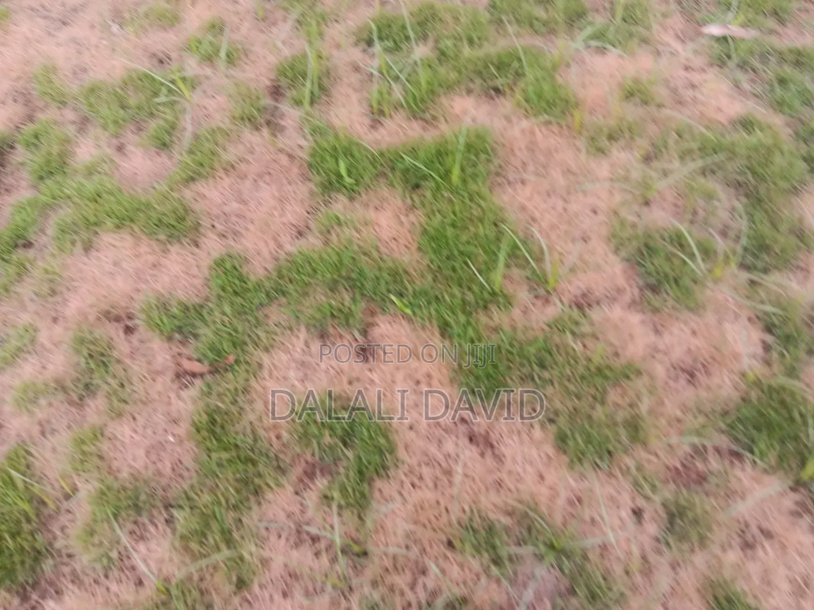 Plot for Sale at Mbweni Kilimahewa