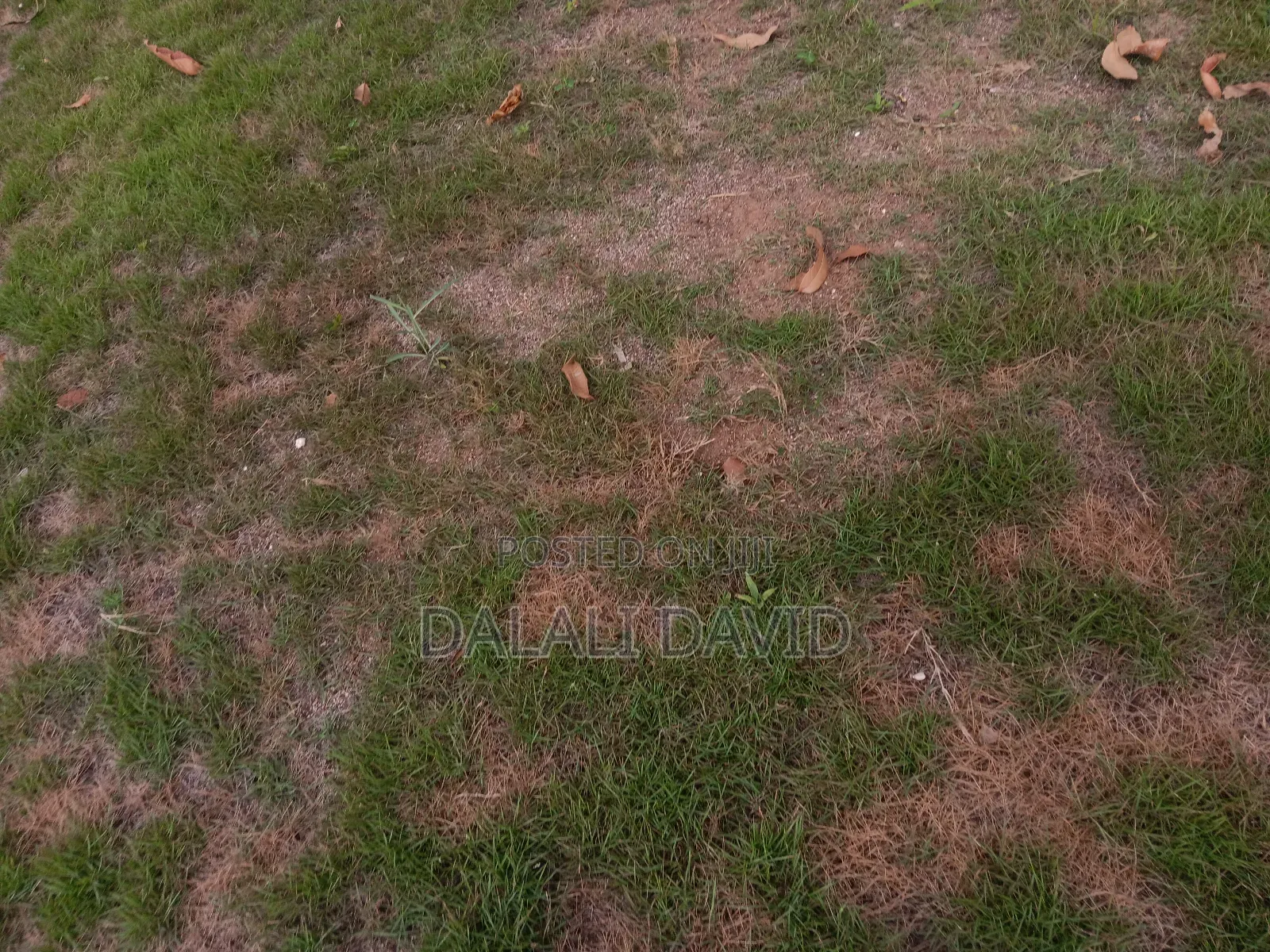 Plot for Sale at Mbweni Kilimahewa