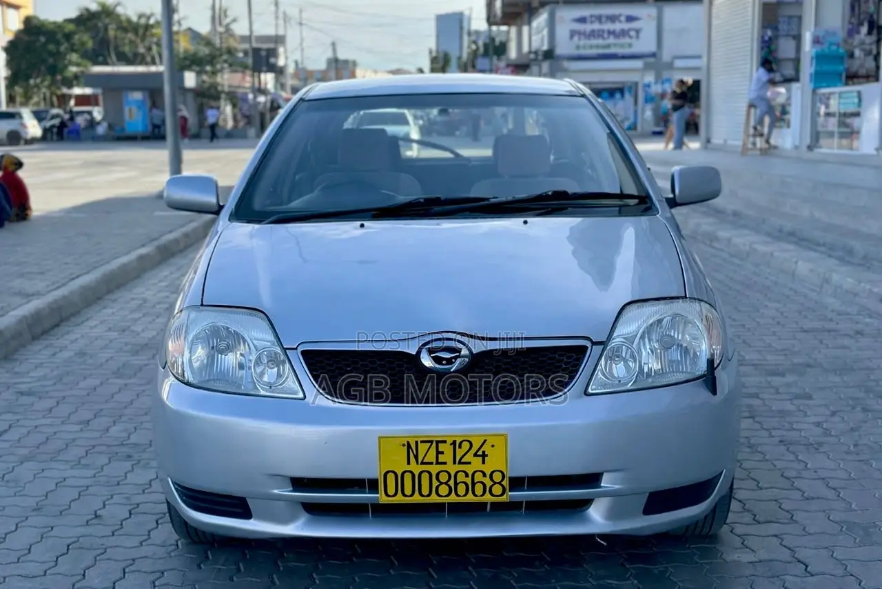 Toyota Corolla RunX 2004 Silver