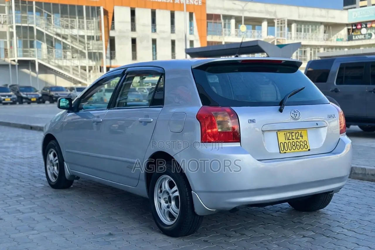 Toyota Corolla RunX 2004 Silver