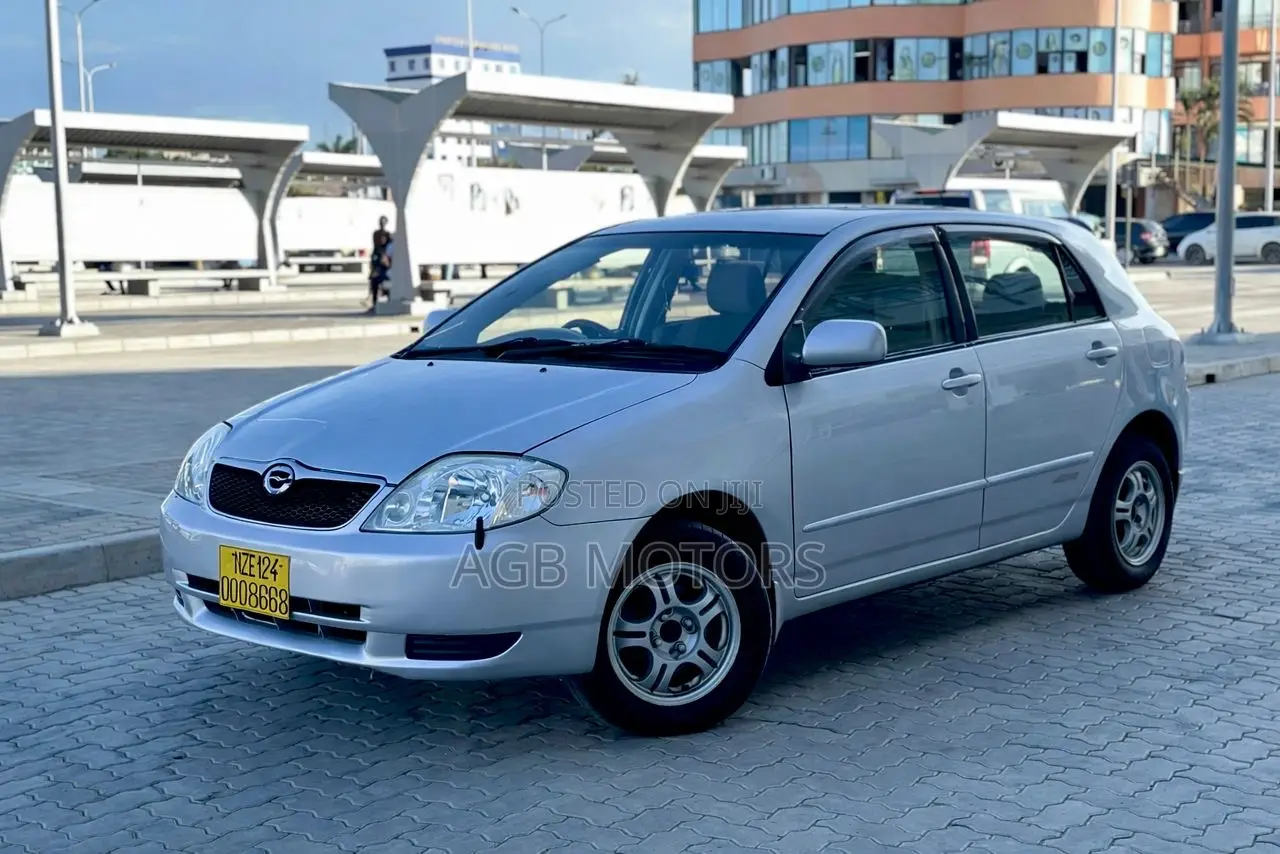Toyota Corolla RunX 2004 Silver