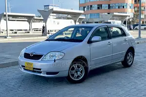 Toyota Corolla RunX 2004 Silver
