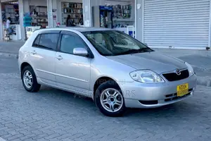 Toyota Corolla RunX 2004 Silver