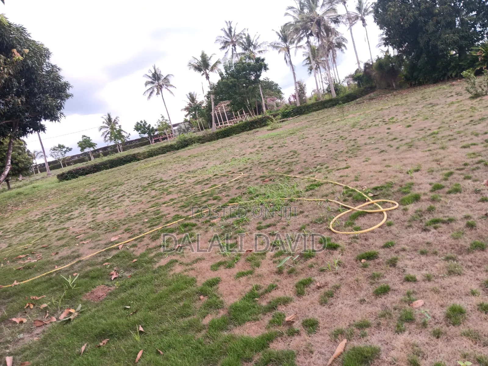 Farm for Sale at Bagamoyo Mingoi