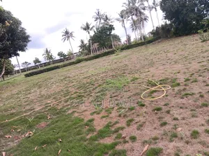 Farm for Sale at Bagamoyo Mingoi