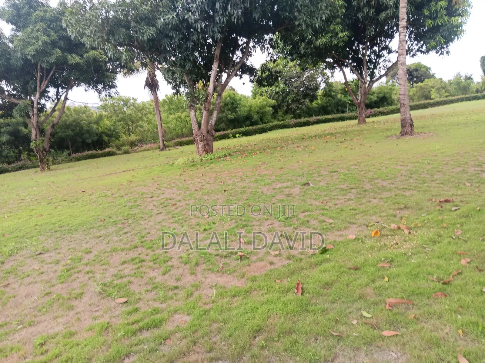 Farm for Sale at Bagamoyo Mingoi
