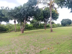Farm for Sale at Bagamoyo Mingoi