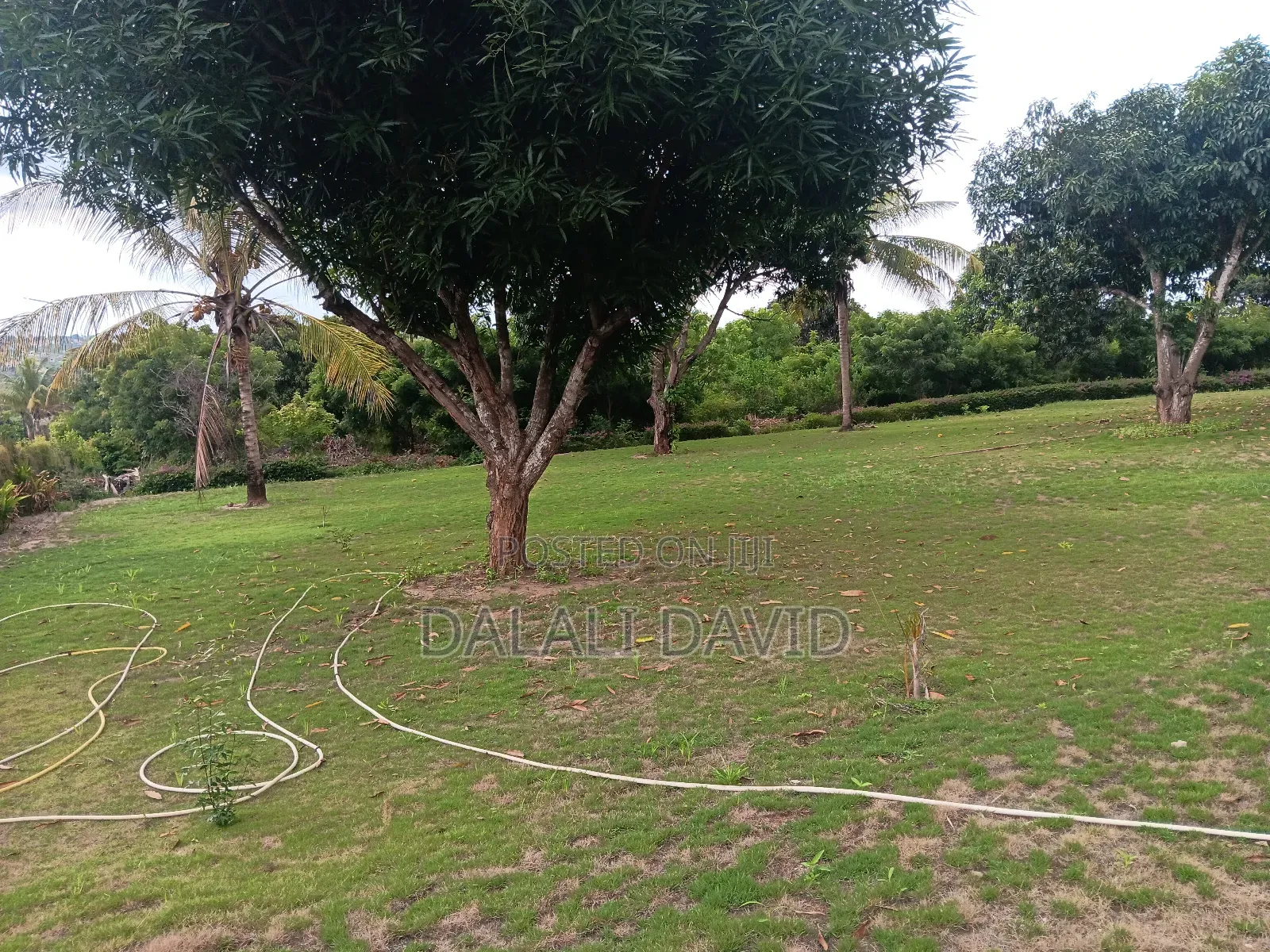 Farm for Sale at Bagamoyo Mingoi