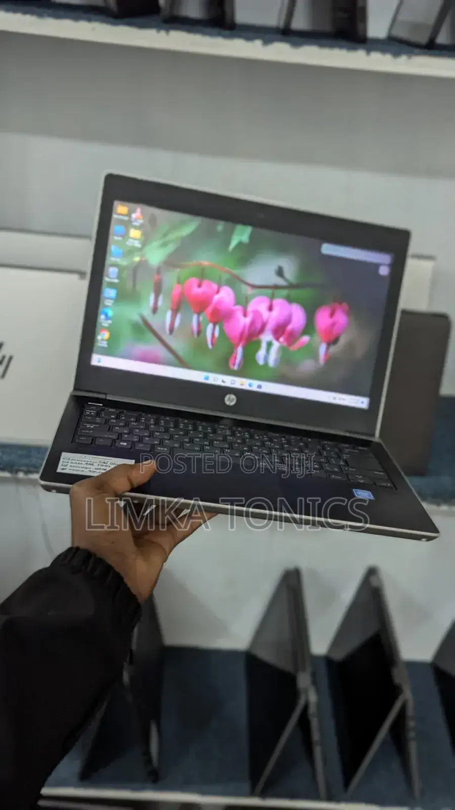 New Laptop HP ProBook MT31 4GB Intel Celeron SSD 128GB