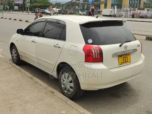 Toyota Allex 2004 White