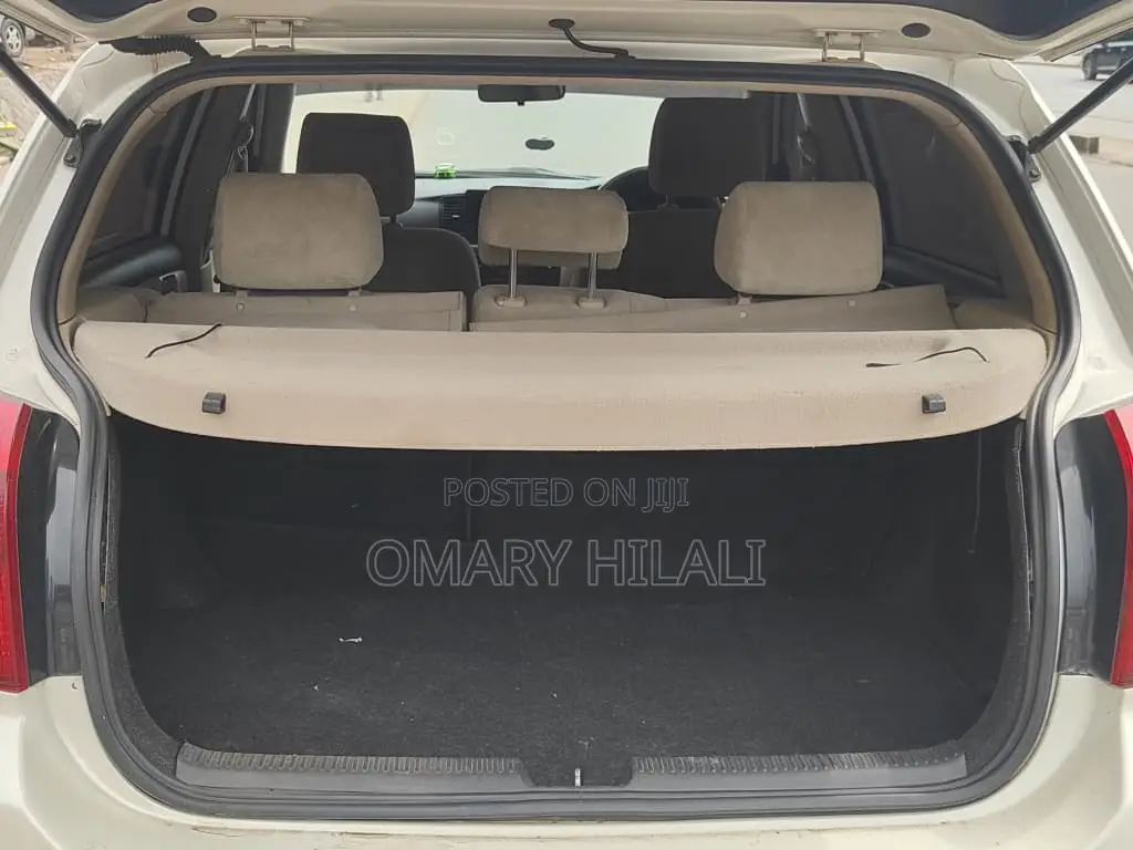Toyota Allex 2004 White