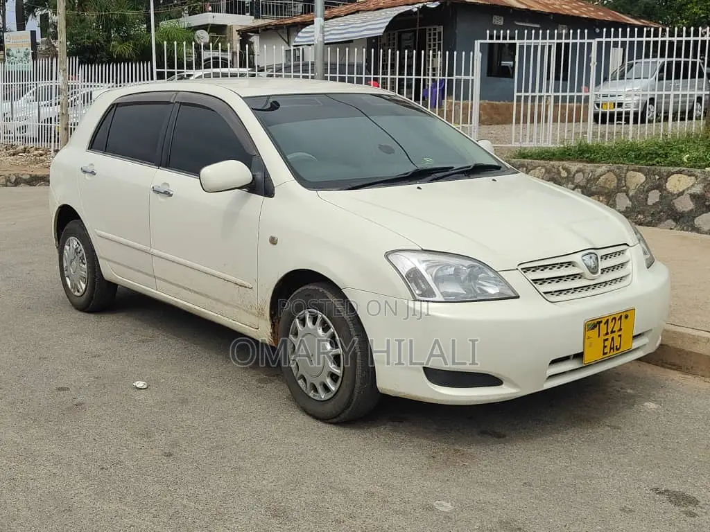 Toyota Allex 2004 White