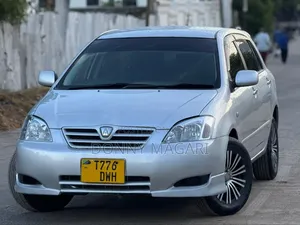 Toyota Allex 2008 Silver
