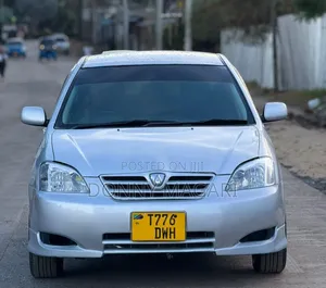 Toyota Allex 2008 Silver