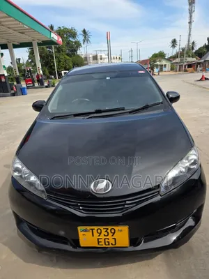 Toyota Wish 2010 Black