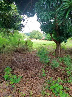 Yard/Warehouse Plot for Sale Toangoma Kigamboni