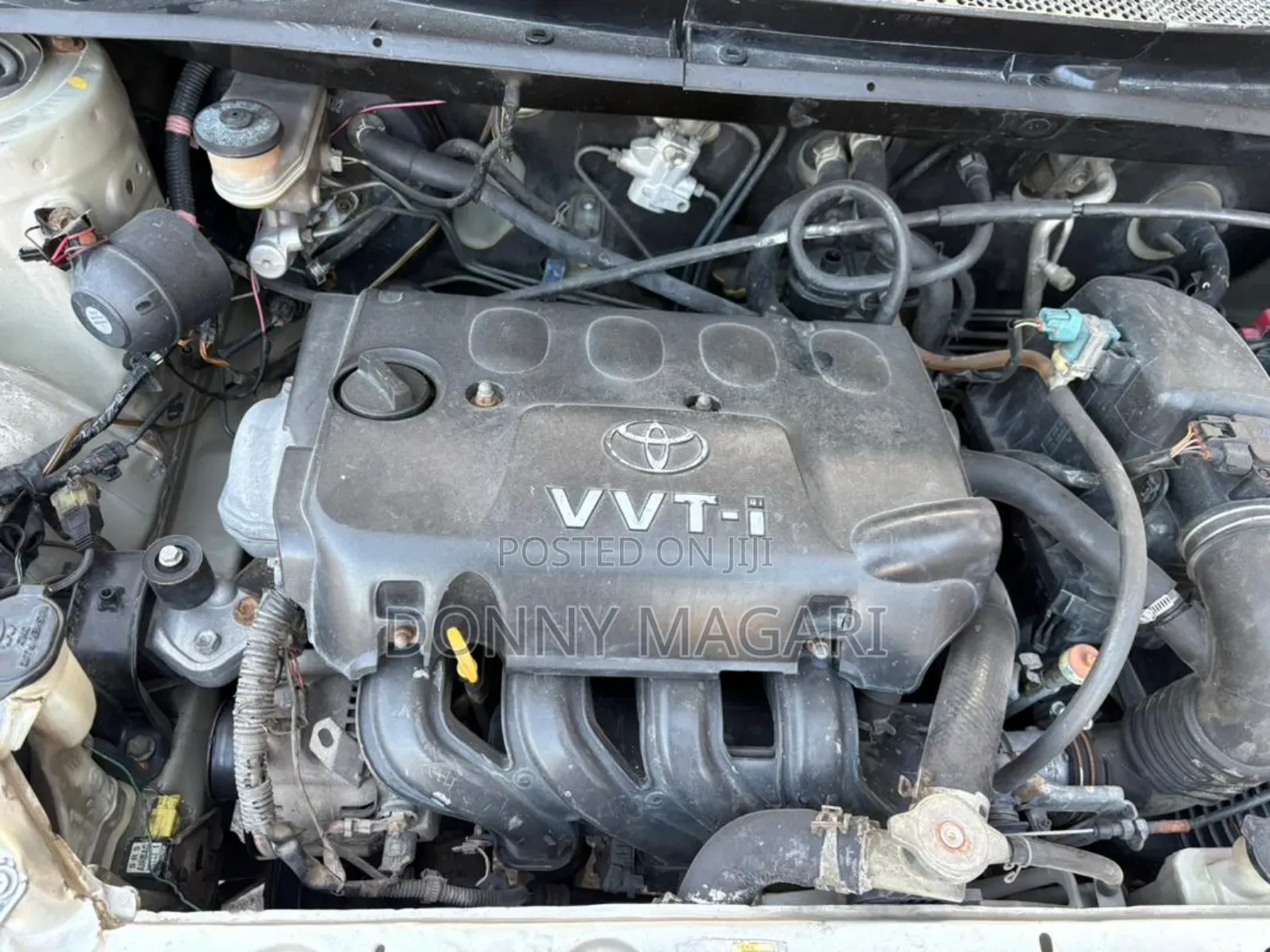 Toyota Vitz 2005 Gold