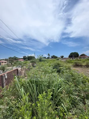 Eneo Linauzwa Mbezibeach