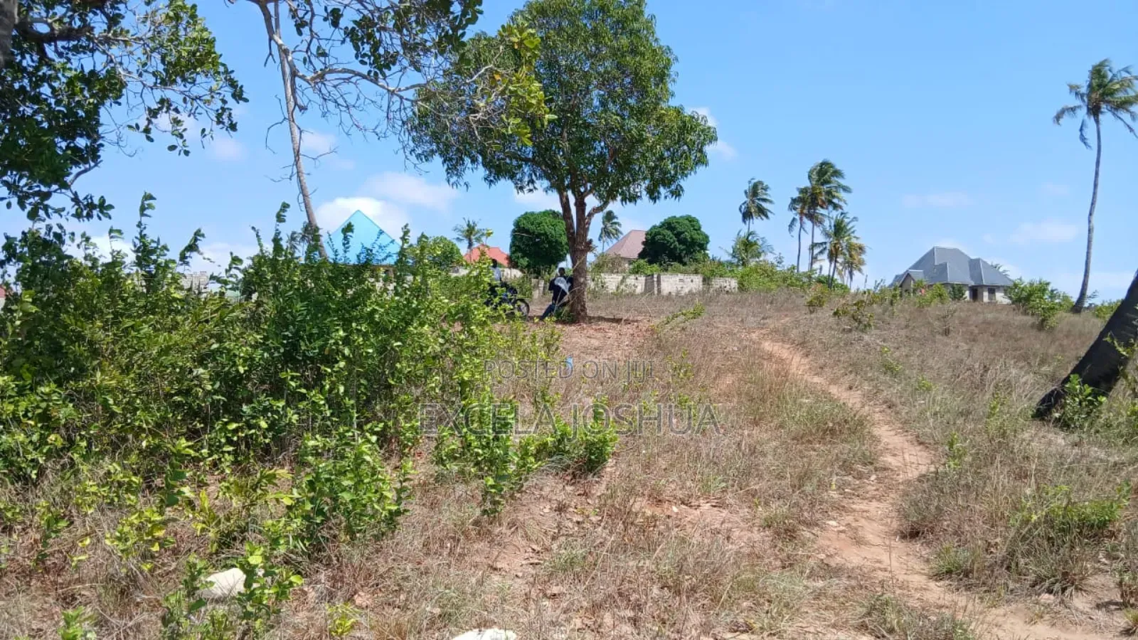 Kiwanja Kinauzwa Toangoma