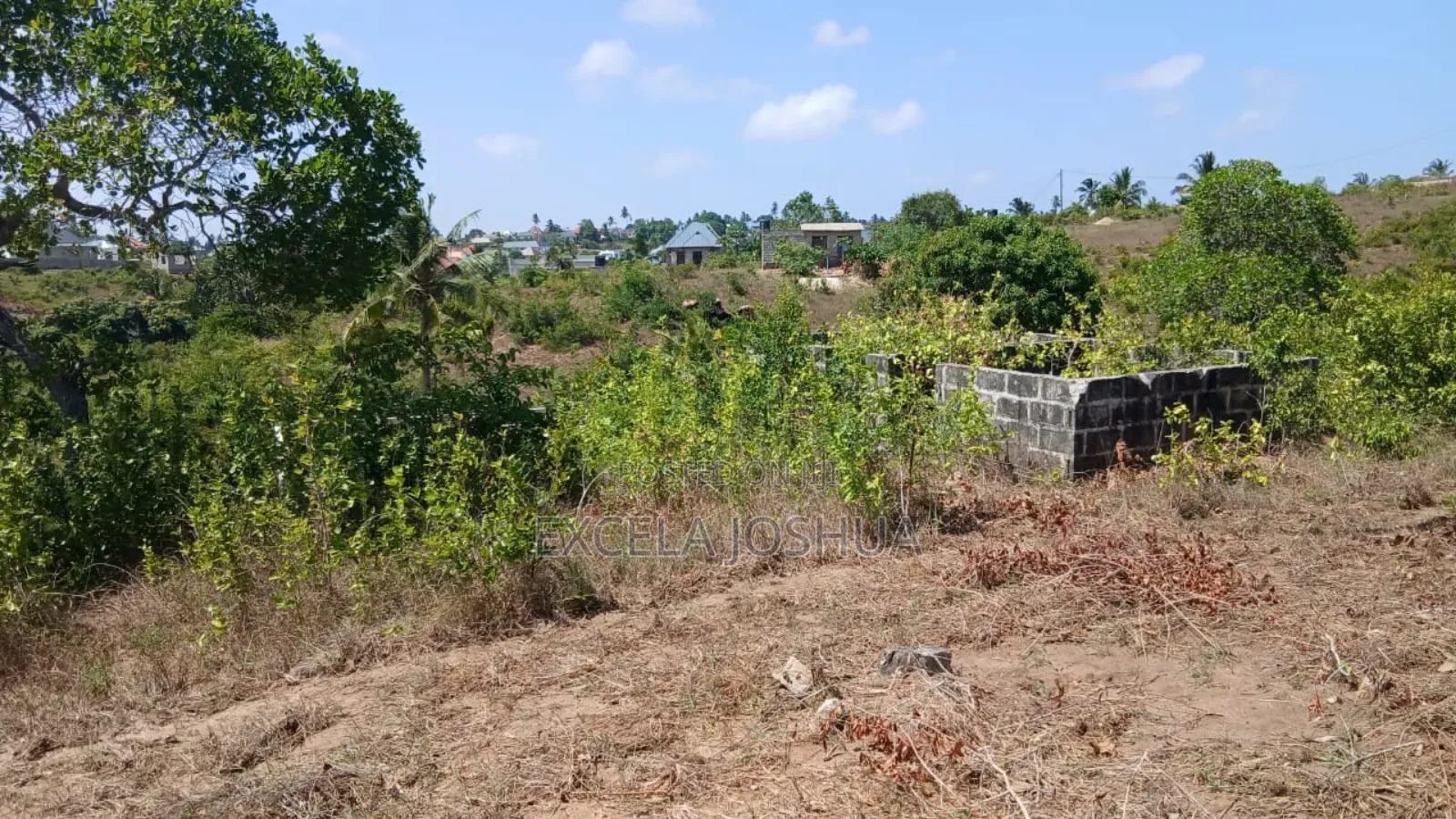 Kiwanja Kinauzwa Toangoma