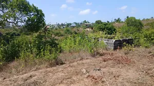 Kiwanja Kinauzwa Toangoma