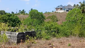 Kiwanja Kinauzwa Toangoma