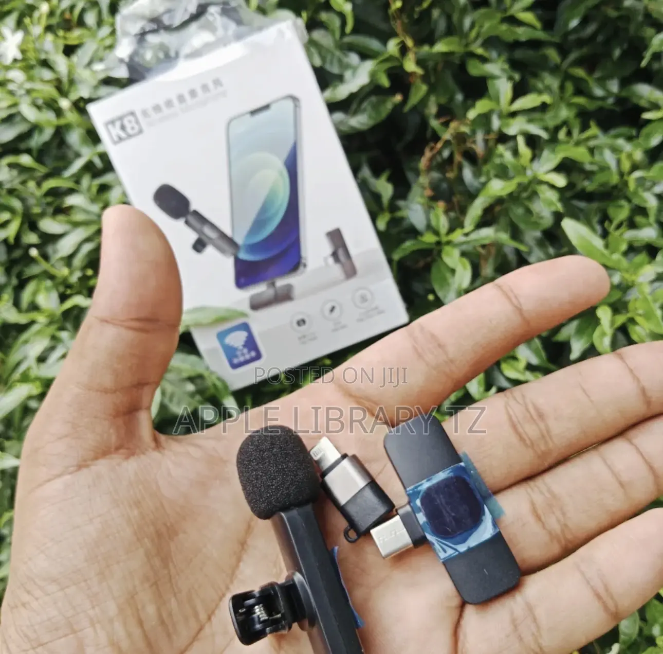 Wireless Mic