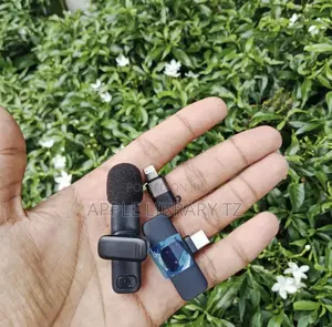 Wireless Mic