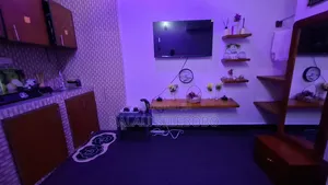 Furnished Mini Flat in Makumbusho Bus Stop, Kijitonyama for rent