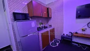 Furnished Mini Flat in Makumbusho Bus Stop, Kijitonyama for rent