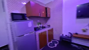 Furnished Mini Flat in Makumbusho Bus Stop, Kijitonyama for rent