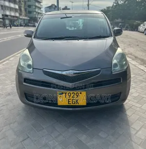 Toyota Ractis 1.5 AWD 2009 Gray
