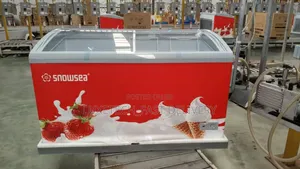Snowsea Commercial Showcase Freezer 420-Litres