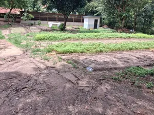 Kiwanja Kinauzwa Kwa Mnada Bei Nzuri Sana Goba Njia Nne