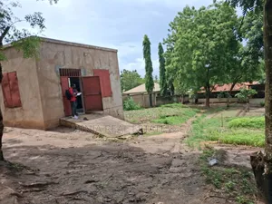 Kiwanja Kinauzwa Kwa Mnada Bei Nzuri Sana Goba Njia Nne