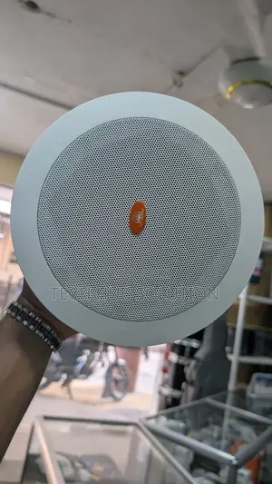 Ceiling Speaker