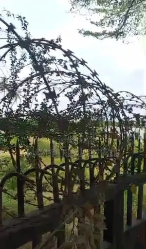 1 Acre Plot for Sale at Upanga