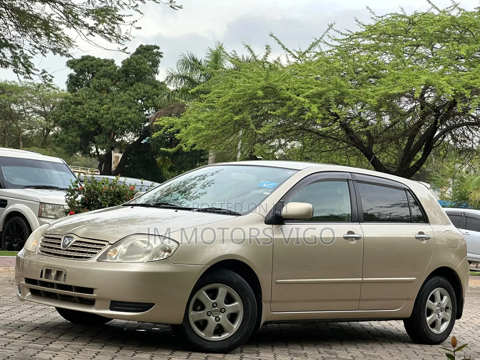 Toyota Allex 2004 Gold
