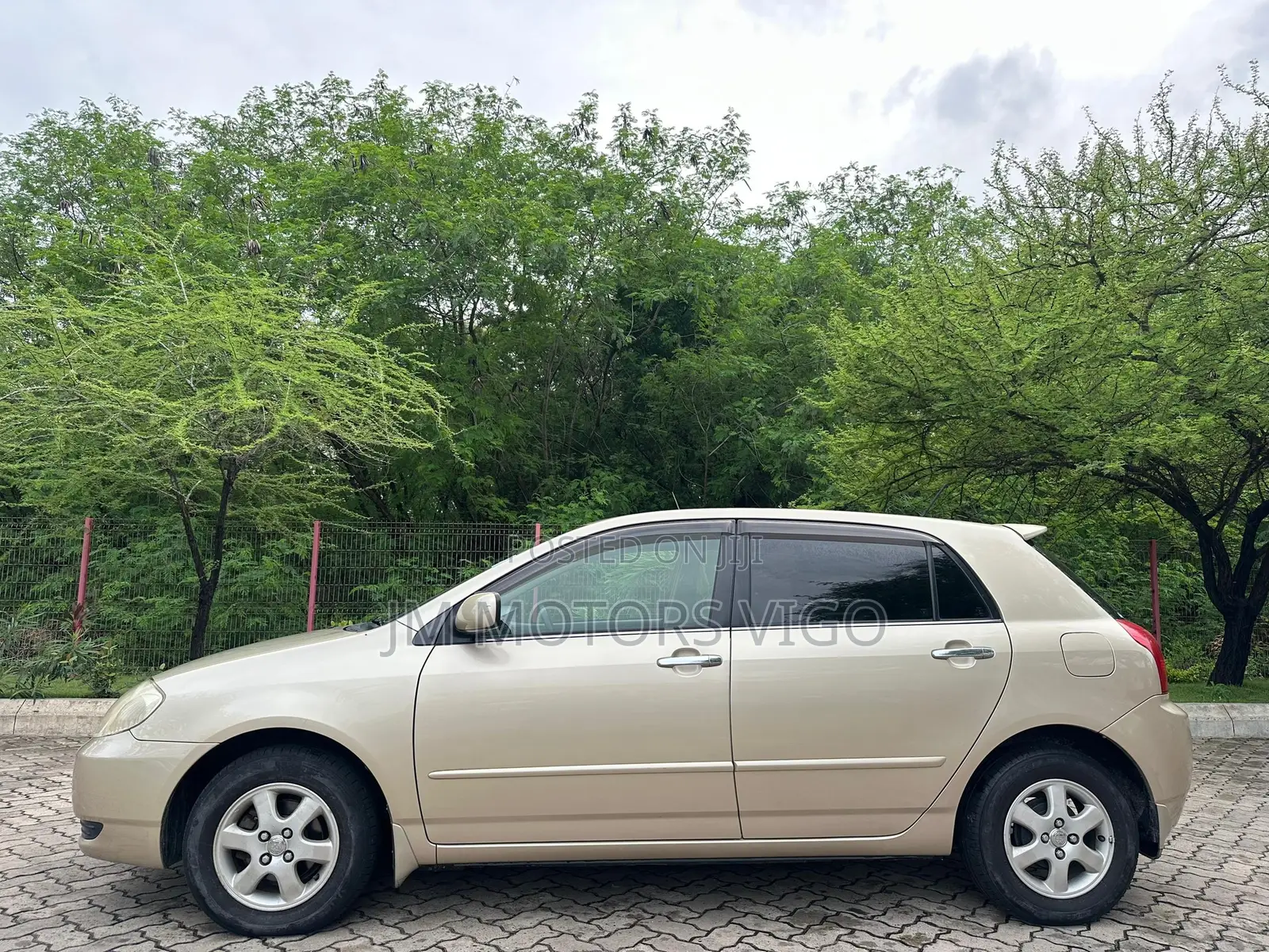 Toyota Allex 2004 Gold