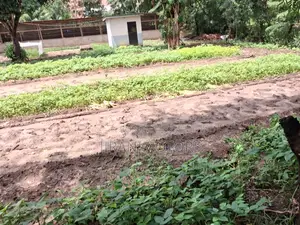 - *Kiwanja Kikubwa SQM 1,000 Ml 65 Kipo Goba Njia Nne(Goba Road