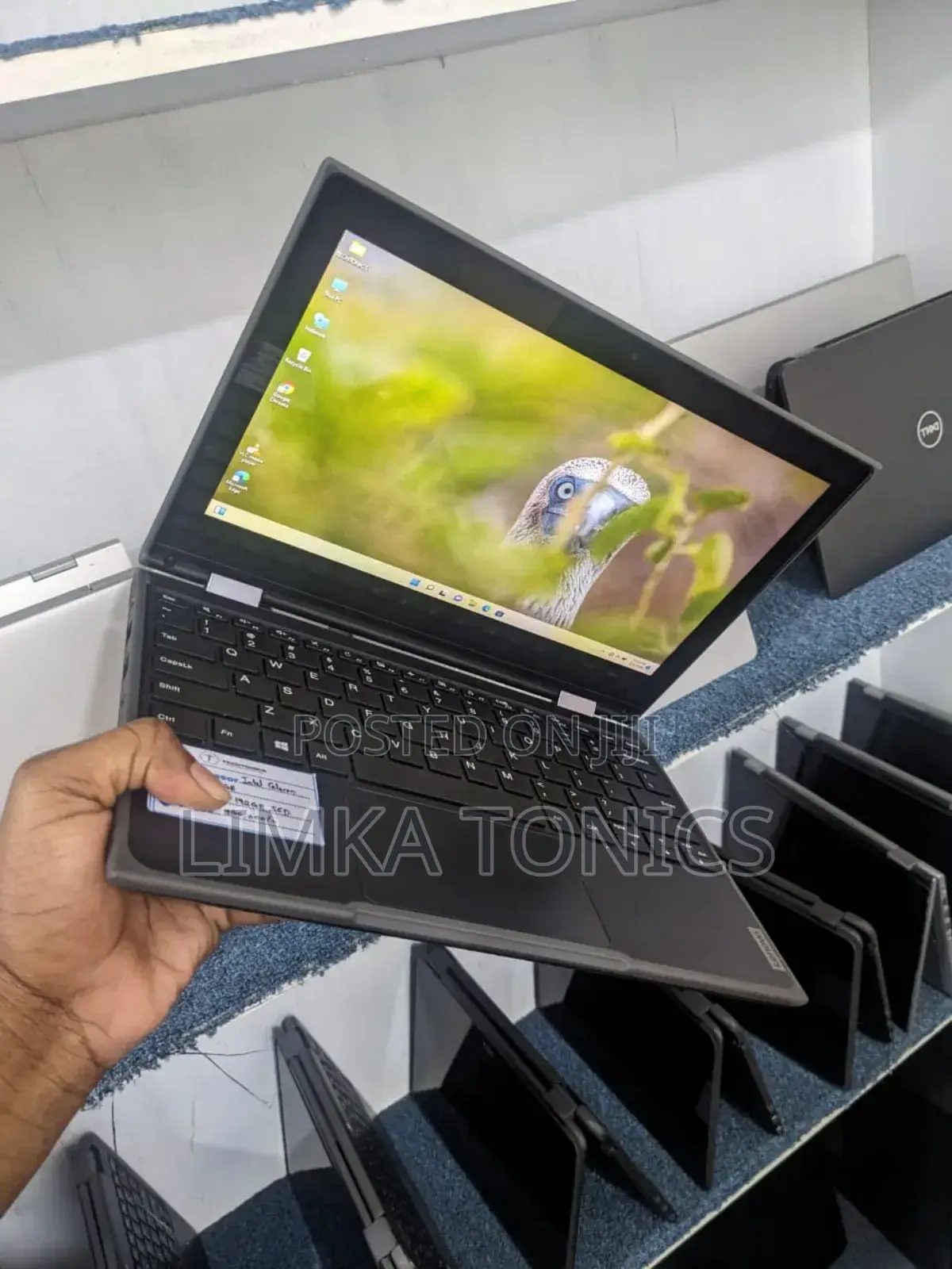 New Laptop Lenovo 300e 4GB Intel Celeron SSD 160GB