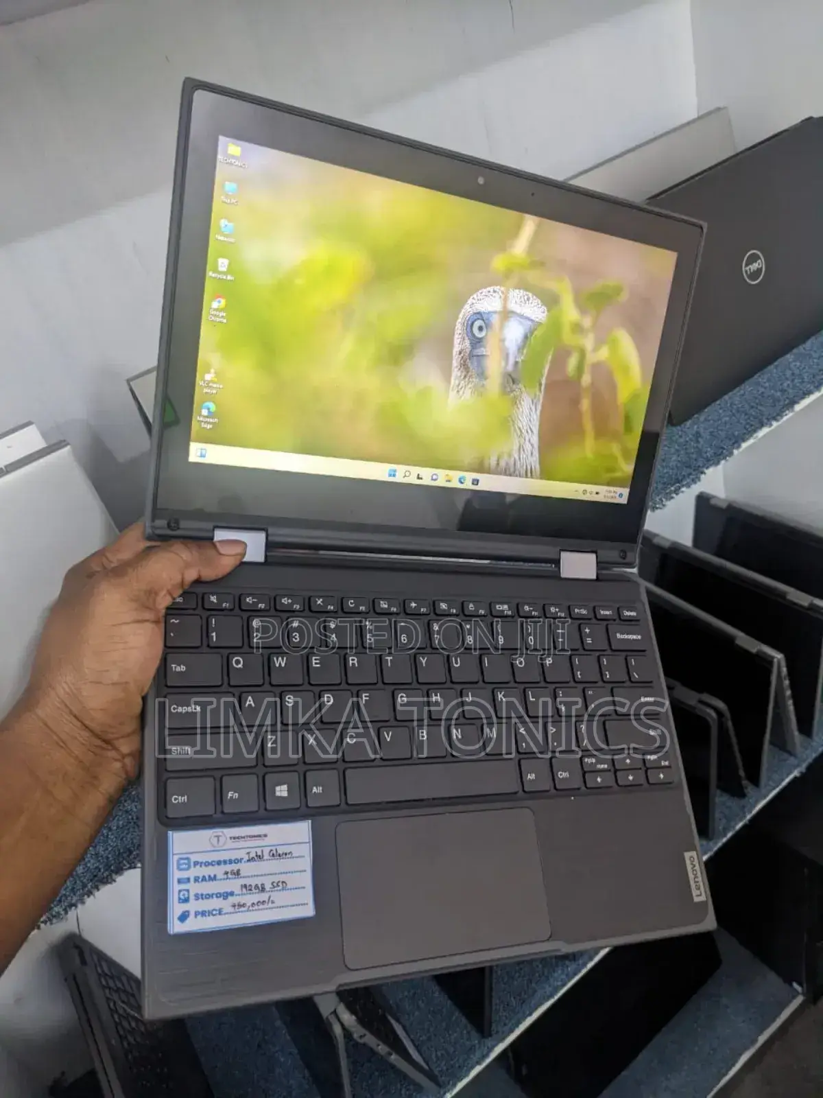 New Laptop Lenovo 300e 4GB Intel Celeron SSD 160GB