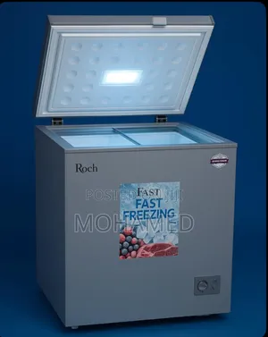 Rochi Freezer 100l