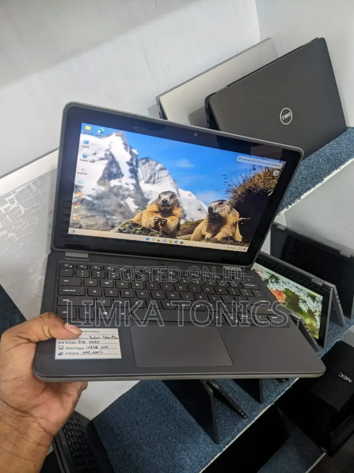 New Laptop Dell Latitude 3120 8GB Intel Pentium SSD 128GB