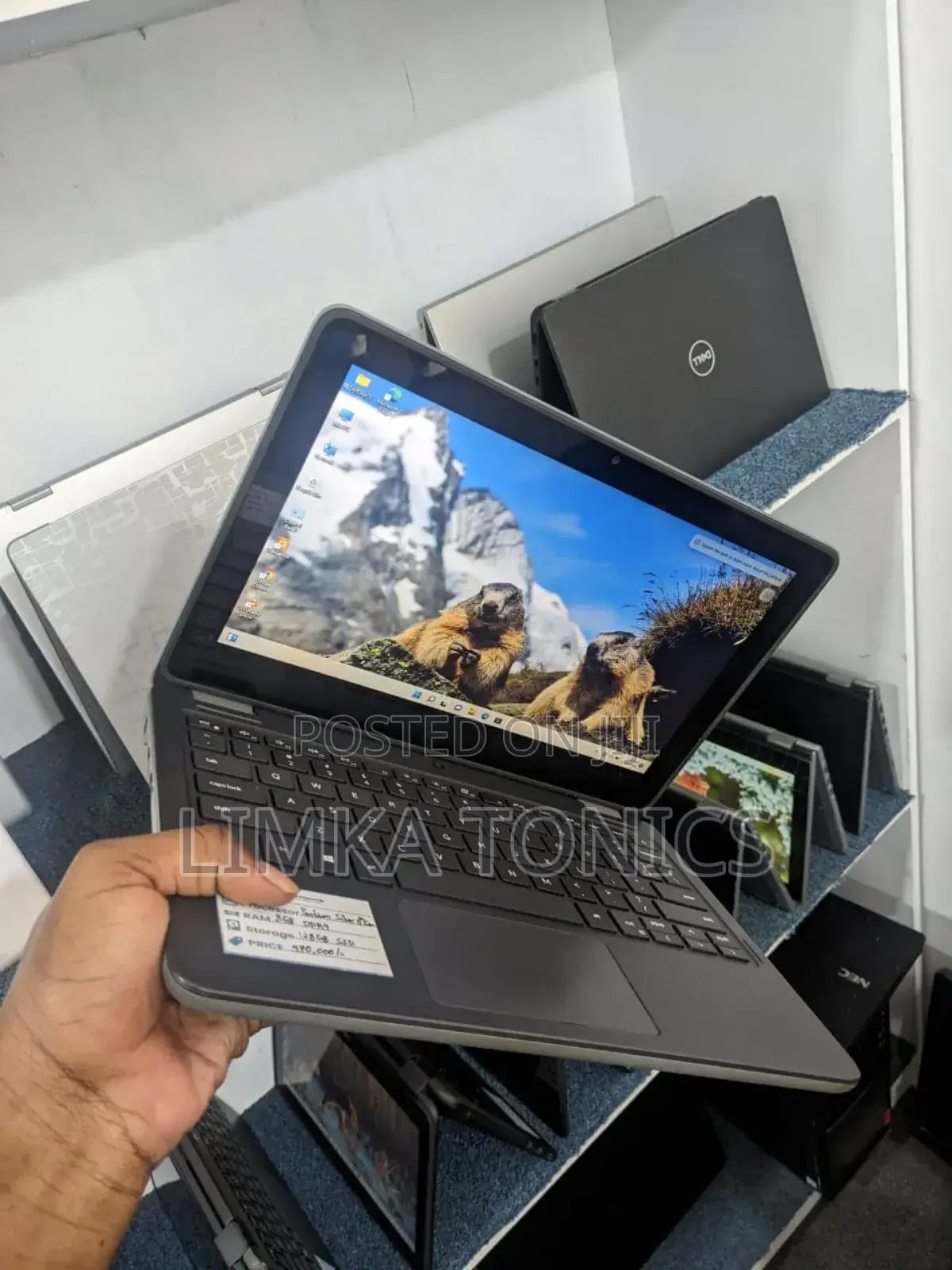 New Laptop Dell Latitude 3120 8GB Intel Pentium SSD 128GB