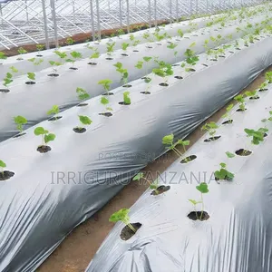 Mulching Paper Film