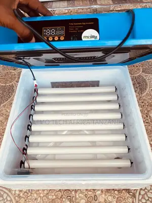 Mashine Ya Kutotoleshea Mayai ( Incubator )