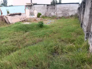 Eneo Lenye Ukubwa Wa SQMT 1800 Linauzwa Usd Milioni 1,300,000 Mikochen