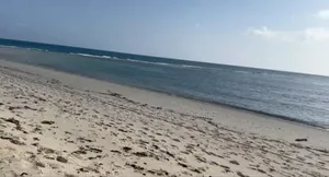 Amazing Beach Plot for Sale at Kigamboni